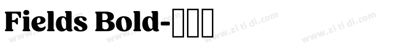 Fields Bold字体转换